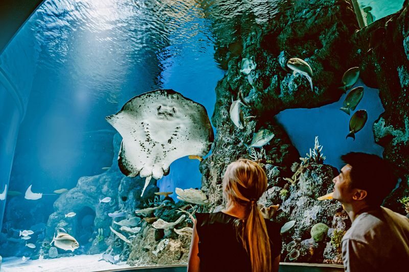 Cairns Aquarium Ticket - Who will get the most from Cairns Aquarium?