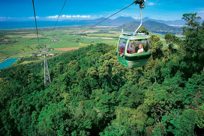 Cairns ATV Adventure Tour and Morning Skyrail - Experience the Skyrail Rainforest Cableway