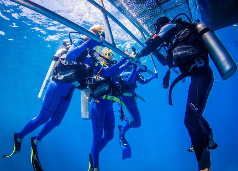 Cairns: Best Value All-inclusive Reef Trip With Scuba Dive - FAQs