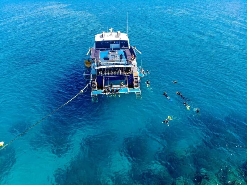 Cairns: Best Value All-inclusive Reef Trip With Scuba Dive - Final Summary