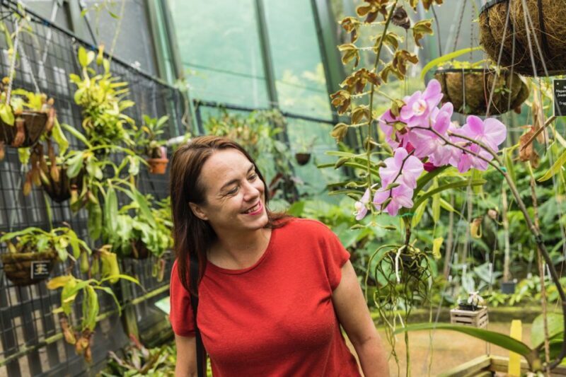 Cairns: Cairns City Sights & Surrounds Half Day Tour - Final Thoughts