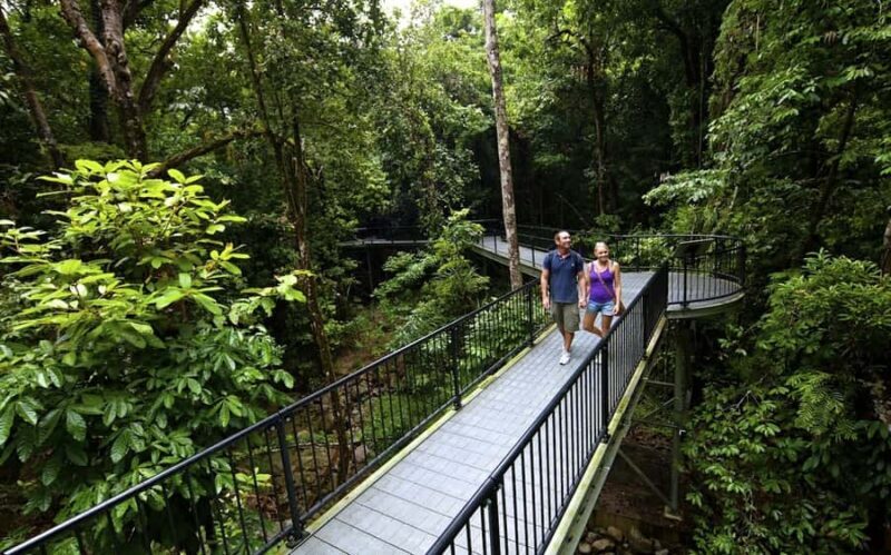 Cairns: Cape Tribulation, Mossman Gorge & Daintree Day Tour - Exploring the Cairns: Cape Tribulation, Mossman Gorge & Daintree Day Tour