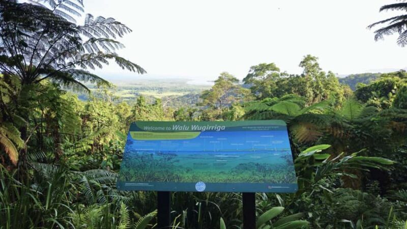 Cairns: Cape Tribulation, Mossman Gorge & Daintree Day Tour - Why Choose This Tour?