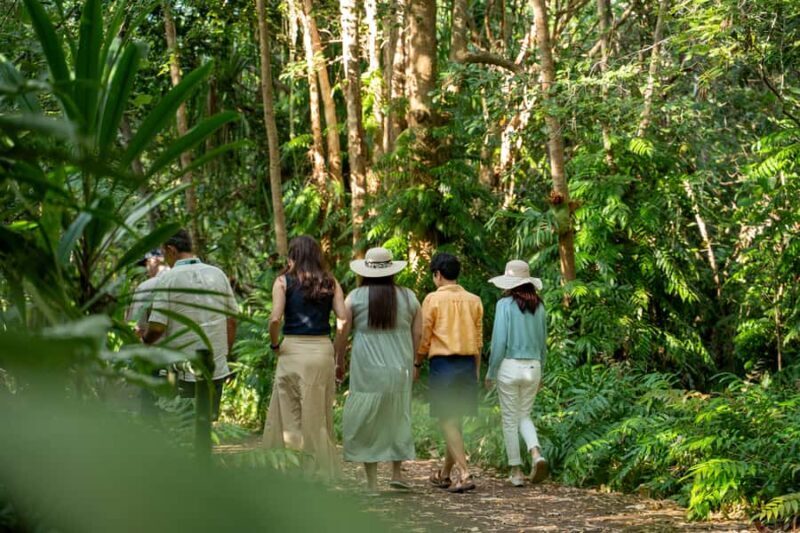 Cairns: Cattana Wetlands, Barron Falls & Kuranda Railway - Authentic Experiences and Unique Insights