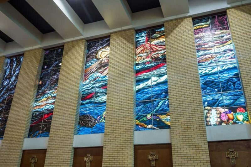 Cairns City: Cairns Koala & Creatures + City Sights Tour - The Itinerary in Detail