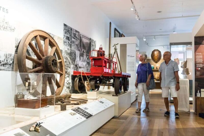 Cairns City: Cairns Koala & Creatures + City Sights Tour - Who’s This Tour Best For?