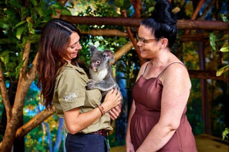 Cairns City: Cairns Koala & Creatures + City Sights Tour - FAQs