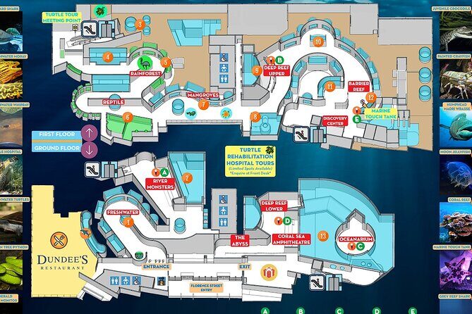 Cairns City Half Day Tour - Who Will Benefit Most from This Tour?