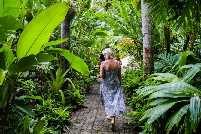 Cairns City Sights and Surrounds Tour - Tour Details and Logistics