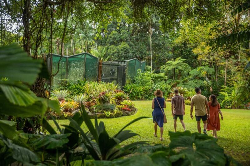 Cairns: City Sights Tour with Evening Dinner Cruise - Good To Know