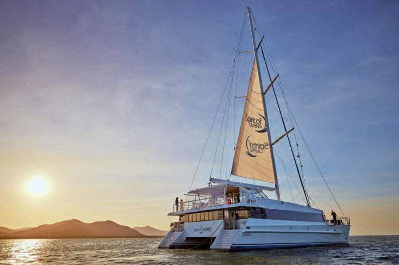 Cairns: City Sights Tour with Evening Dinner Cruise - An Authentic Introduction to Cairns