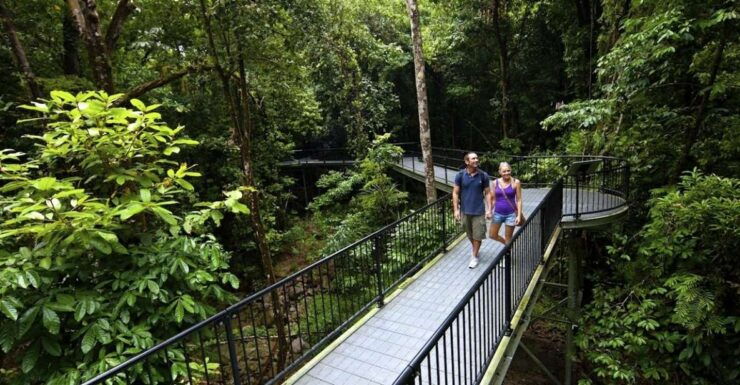 Cairns: Daintree, Mossman Gorge & Cape Tribulation Day Trip - Activity Duration and Cancellation Policy