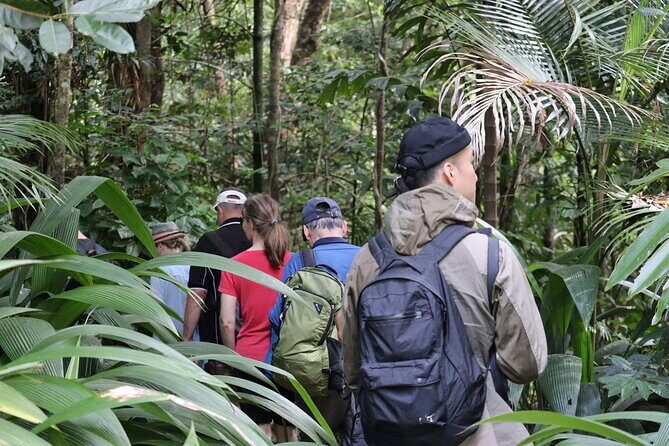 Cairns Daintree Rainforest and Cape Tribulation 2-Day Tour - Final Thoughts: Who Should Consider This Tour?