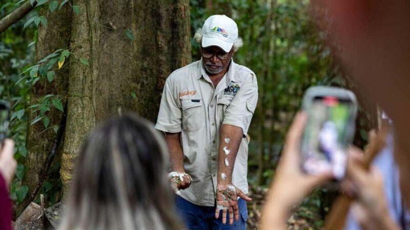 Cairns: Daintree Rainforest and Mossman Gorge Tour - A Deep Dive into the Cairns Daintree & Mossman Gorge Tour