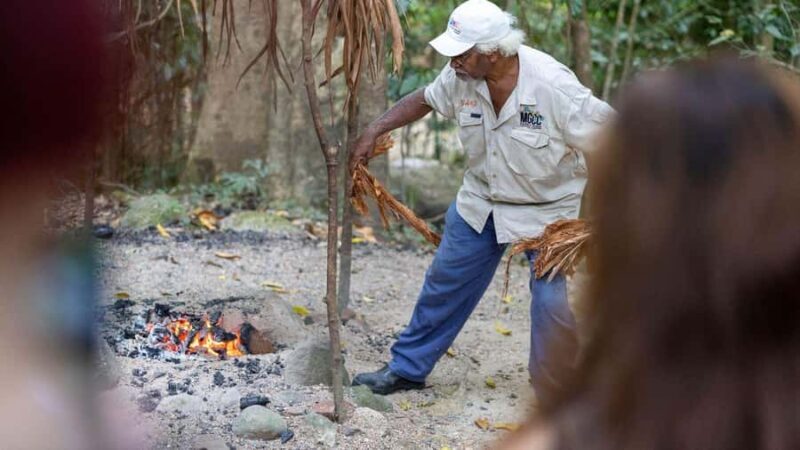 Cairns: Daintree Rainforest and Mossman Gorge Tour - Authentic Experiences & Guide Highlights