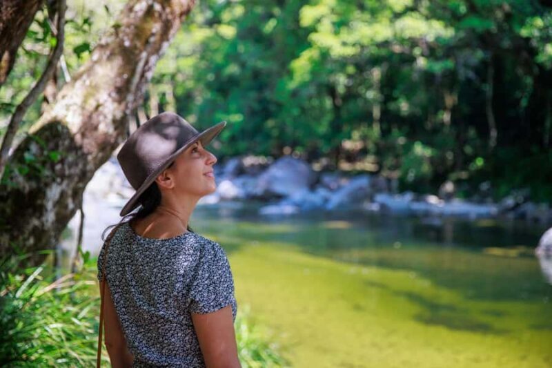 Cairns: Daintree Rainforest & Cape Tribulation Day Trip - Introduction