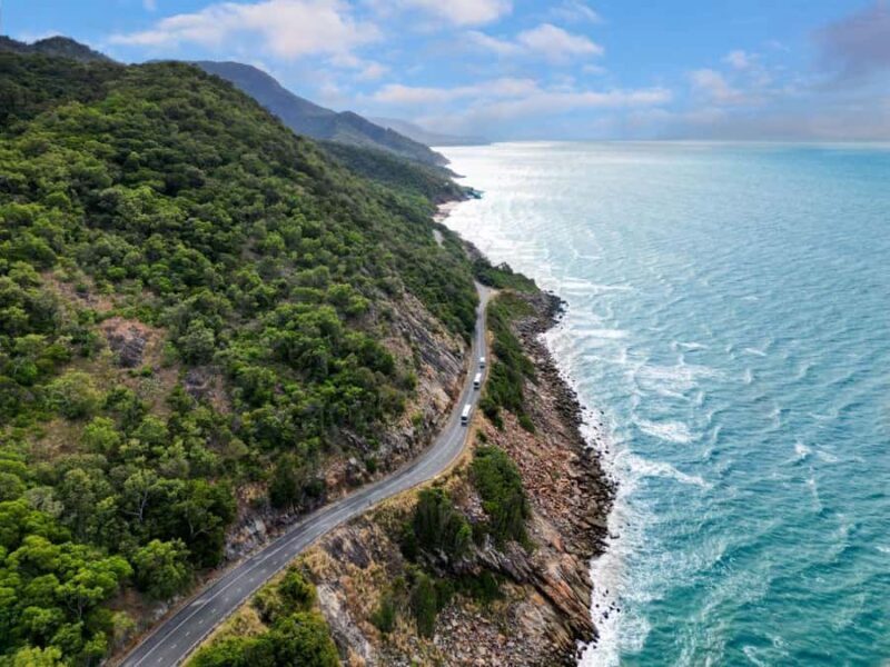 Cairns: Daintree Rainforest & Cape Tribulation Day Trip - FAQs