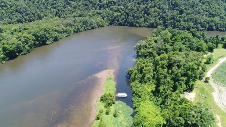 Cairns: Daintree Rainforest Wildlife Experience Cruise - Booking Details