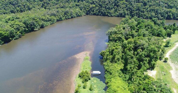 Cairns: Daintree Rainforest Wildlife Experience Cruise - Experience Highlights