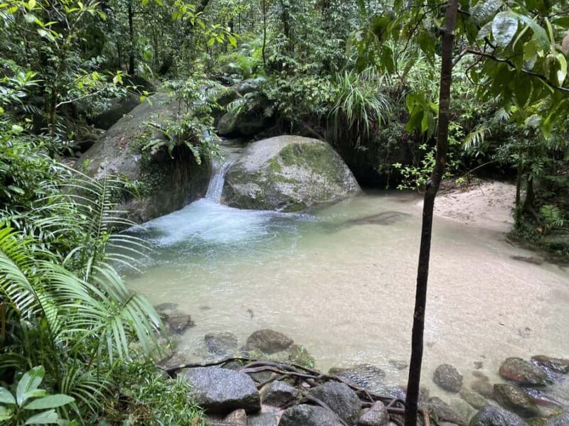 Cairns: Daintree River Cruise and Mossman Gorge - Final Thoughts: Is This Tour Worth It?