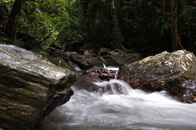 Cairns Day Tour Private Waterfall - Why Choose This Cairns Waterfalls Tour?