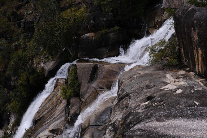 Cairns Day Tour Private Waterfall - Final Thoughts: Is This Tour Worth It?