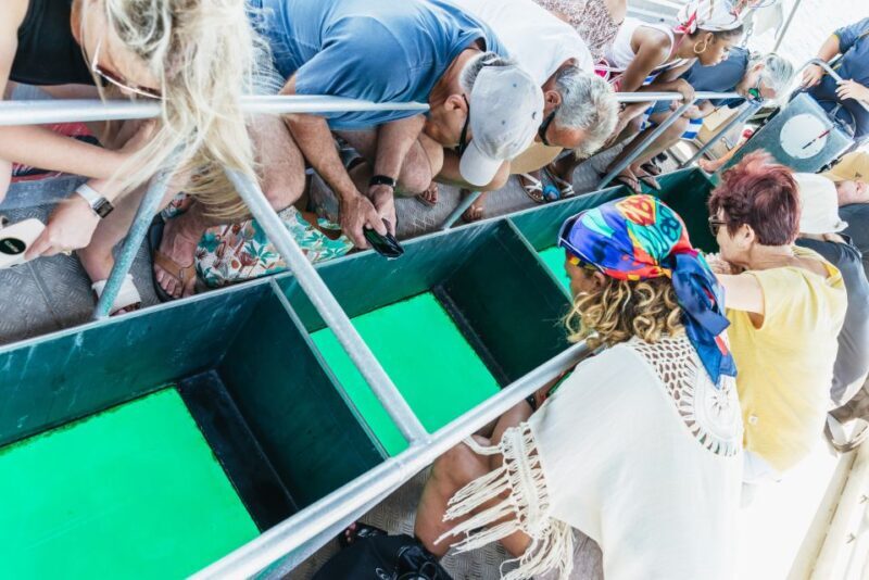 Cairns: Fitzroy Island Full-Day Trip with Optional Extras - Practical Information and Tips