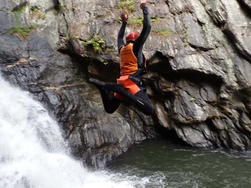 Cairns Full-Day Canyoning Adventure tour - What Makes This Tour Special?