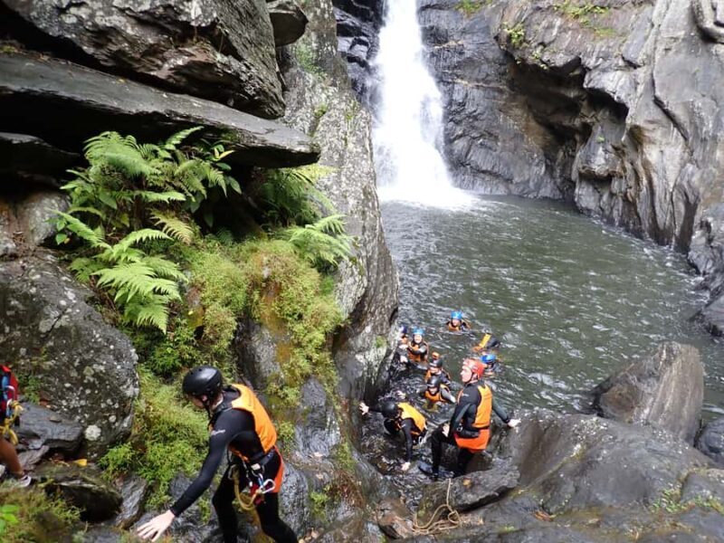 Cairns Full-Day Canyoning Adventure tour - Authentic Reviews: What Travelers Are Saying