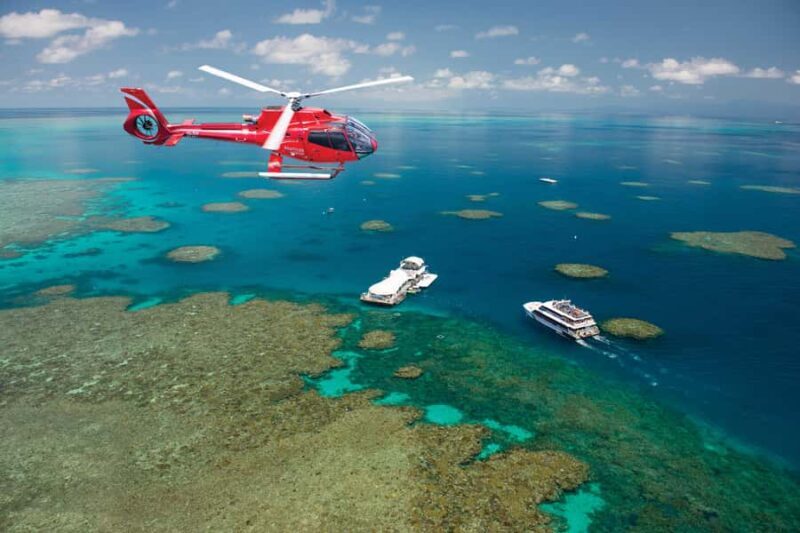 Cairns: Great Barrier Reef Cruise & 10 Minute Helicopter - What to Expect on the Great Barrier Reef Tour