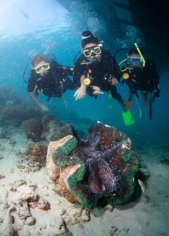 Cairns: Great Barrier Reef Cruise & 10 Minute Helicopter - FAQ