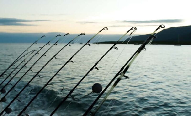 Cairns: Great Barrier Reef Fishing Charter with Lunch - Who Will Love This Tour?