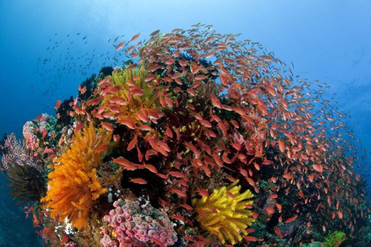 Cairns: Great Barrier Reef Overnight Snorkeling Boat Trip - Good To Know