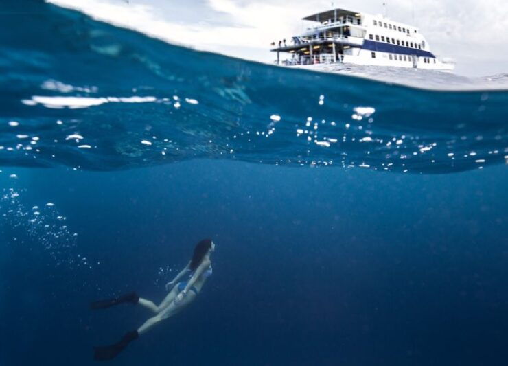 Cairns: Great Barrier Reef Overnight Snorkeling Boat Trip - Experience Highlights