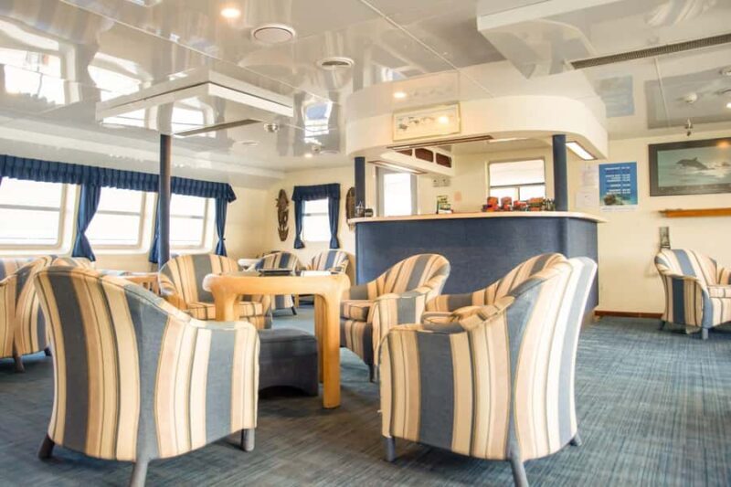 Cairns: Great Barrier Reef Overnight Snorkelling Boat Trip - Good To Know