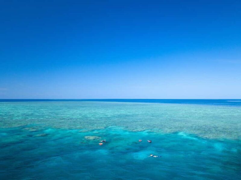 Cairns: Great Barrier Reef Overnight Snorkelling Boat Trip - An In-Depth Look at the Cairns Great Barrier Reef Overnight Snorkelling Trip