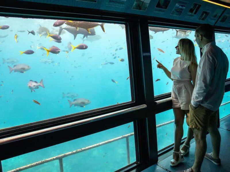 Cairns: Great Barrier Reef Pontoon - Indulgence Package - Who Is This Tour Best For?