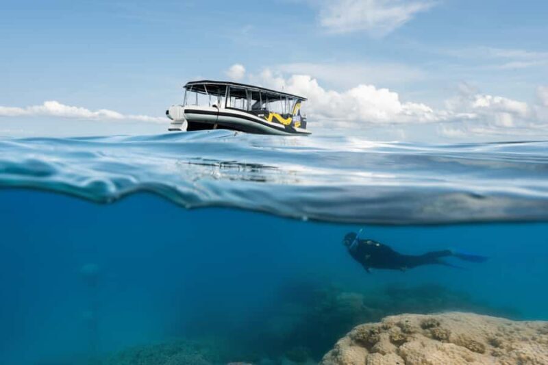 Cairns: Great Barrier Reef Small Group Snorkelling Tour - An In-Depth Look at the Tour Experience