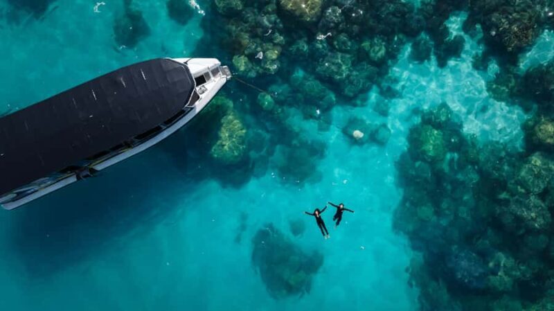 Cairns: Great Barrier Reef Small Group Snorkelling Tour - Authentic Experiences from Reviewers