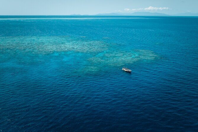 Cairns Great Barrier Reef Snorkel and Flight Adventure - Who Would Love This Tour?