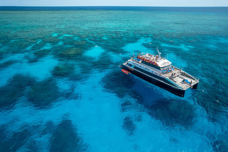 Cairns Great Barrier Reef Snorkel Experience - What to Know Before You Book