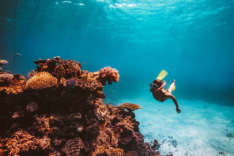 Cairns Great Barrier Reef Snorkel Experience - Snorkeling Gear and Time in the Water