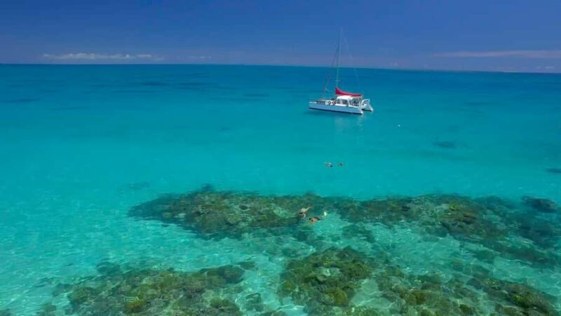 Cairns: Great Barrier Reef Snorkeling Tour with Lunch - An In-Depth Look at the Reef Experience