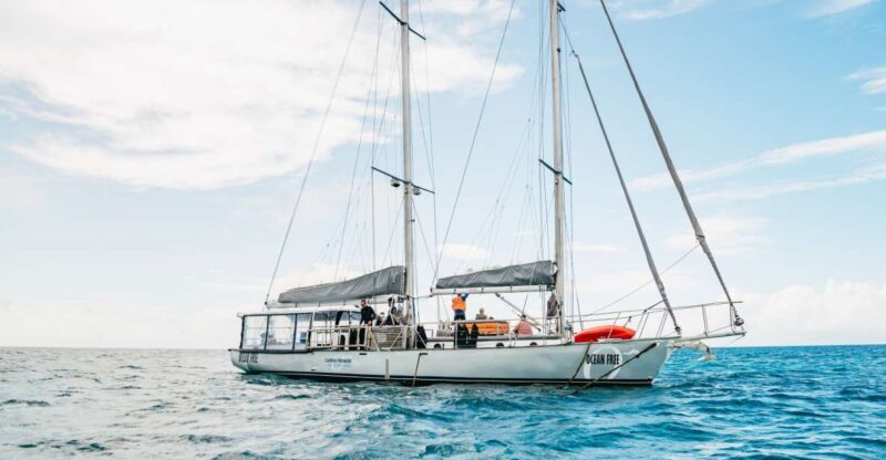 Cairns: Green Island & Great Barrier Reef Sailing Tour - Authentic Experiences from Past Guests