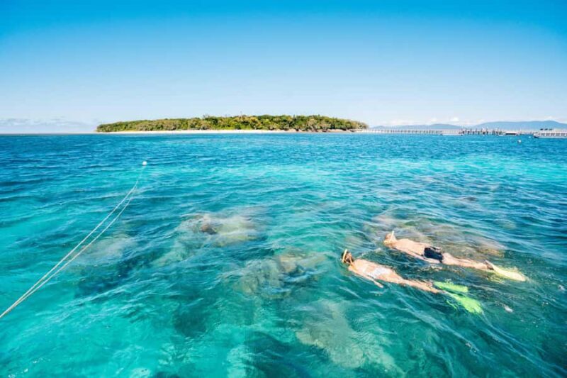 Cairns: Green Island Snorkelling or Glass Bottom Boat - Good To Know