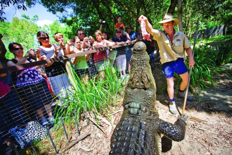 Cairns: Hartley's Crocodile Adventures Visit With Transfer - Activity Details