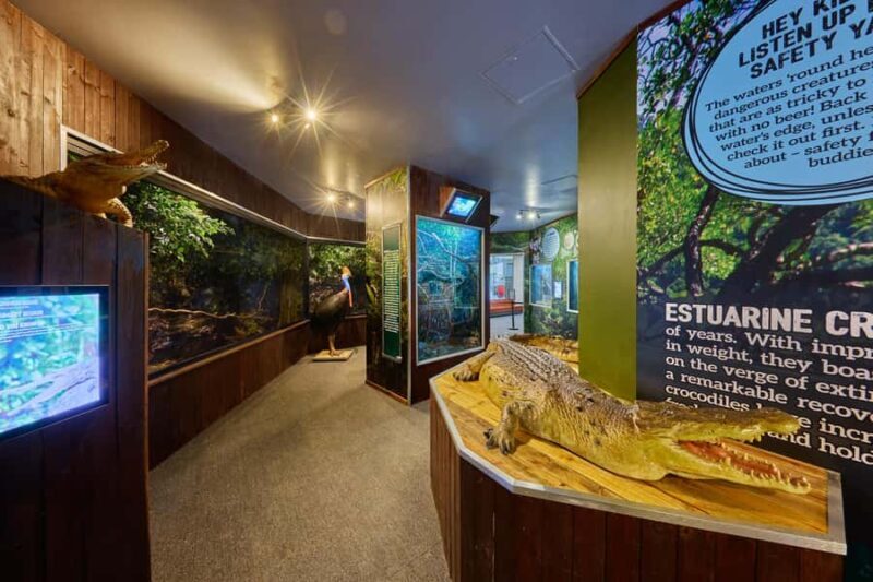 Cairns: Koalas and Creatures Entry Ticket - The Sum Up: Is it Worth It?