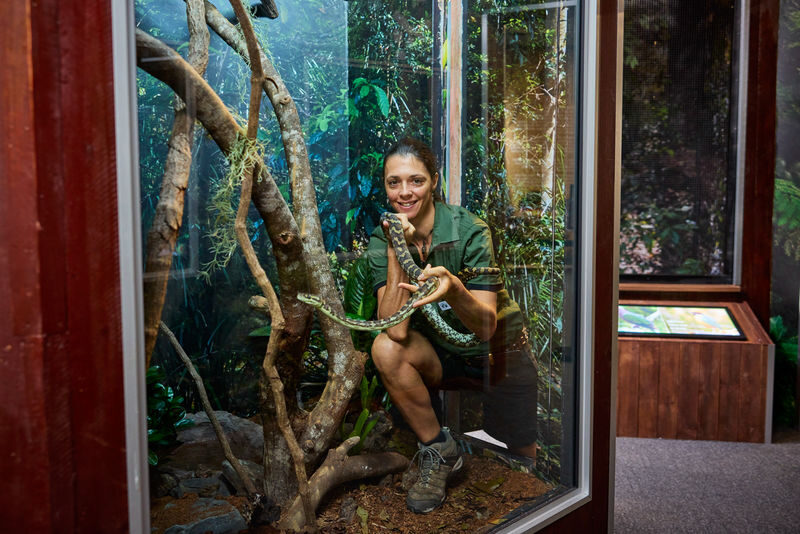 Cairns Koalas & Creatures Admission - A short wildlife stop at The Pier