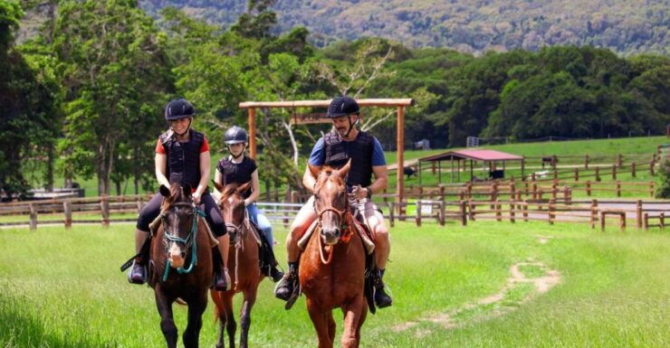 Cairns: Kuranda Village Horse Ride and Petting Zoo Visit - Booking and Logistics