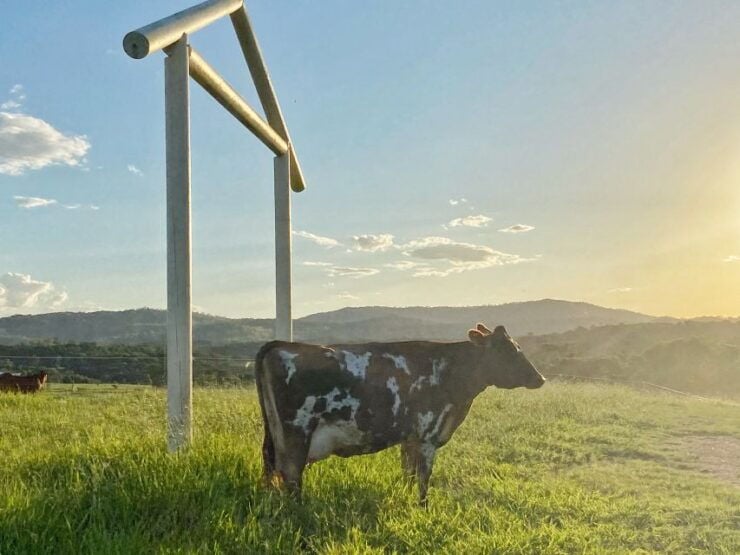 Cairns: Kuranda Village Horse Ride and Petting Zoo Visit - Experience Details